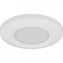 LOW PROFILE FLUSH MOUNT