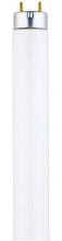 Westinghouse 3741100 - 32W T8 Linear Fluorescent Cool White Medium BiPin Base, Sleeve