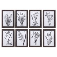 Uttermost 33696 - Uttermost Classic Botany Framed Prints, Set/8