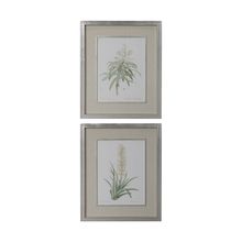 PLANT STUDY