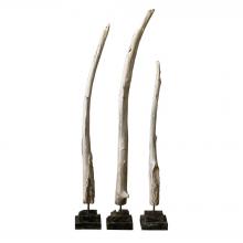 TEAK BRANCHES
