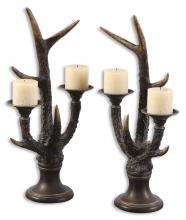 STAG HORN