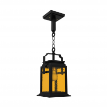 SNOC 16550-AC01 - Serie 65e - Ceiling mount on chain small format - 16550